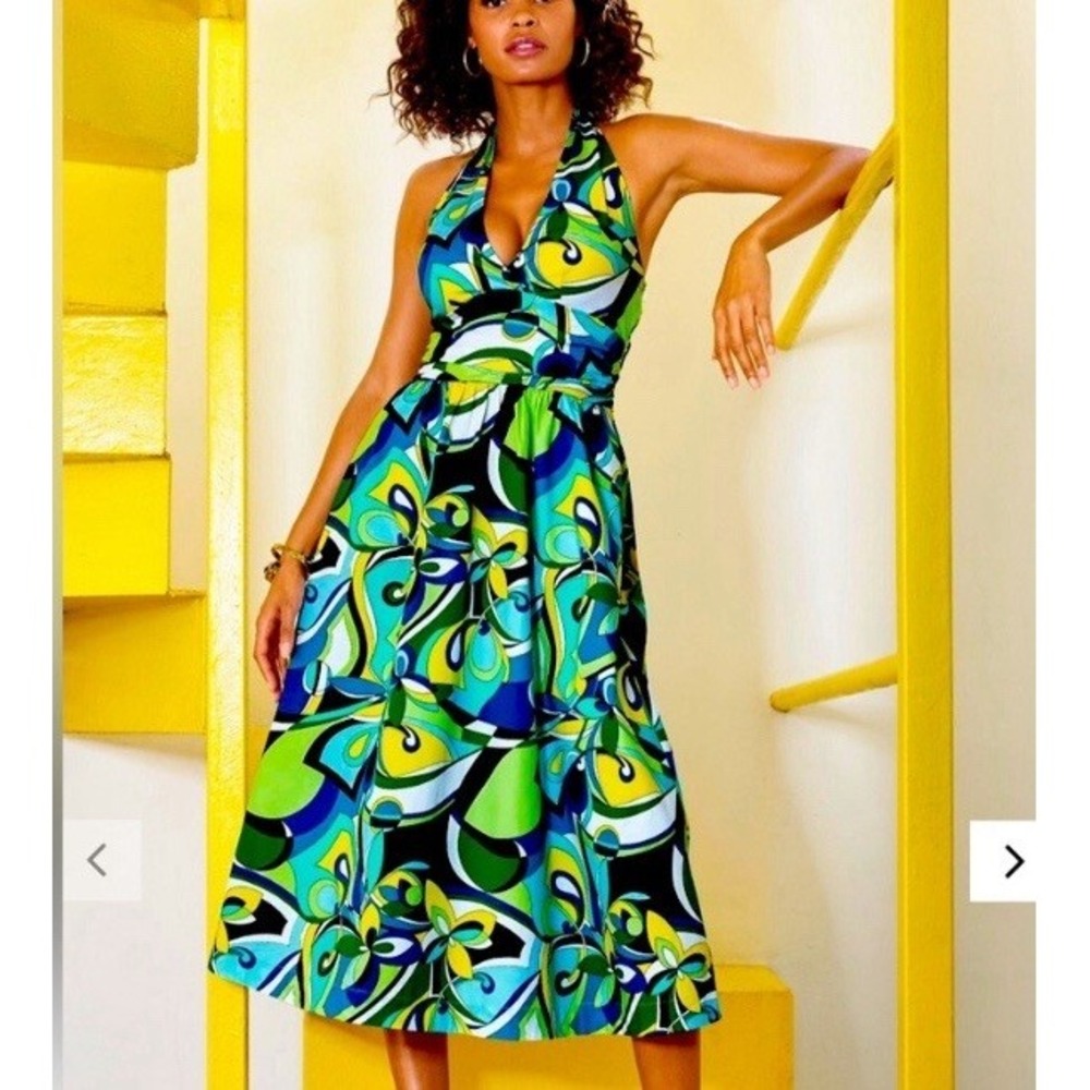Boston Proper 6 Green Halter Dress Retro Sun Fit N Flare Midi Joycore Dopamine